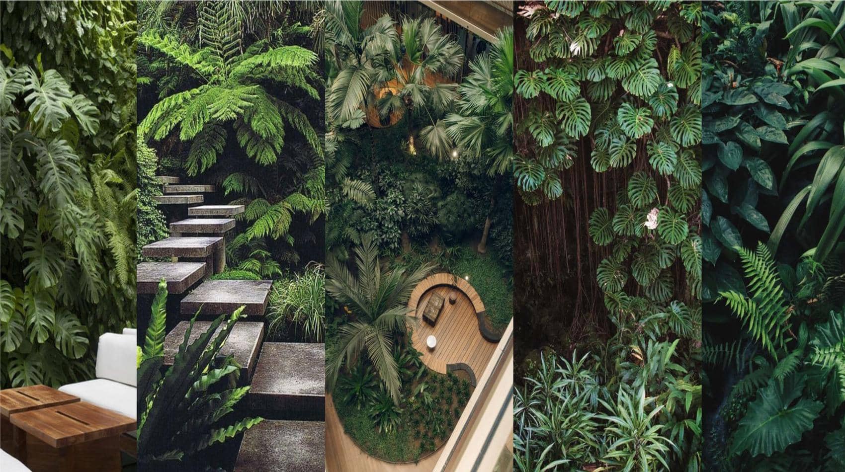 tropical-gardens